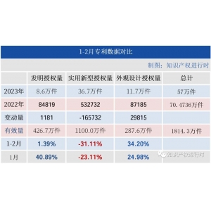 2023年前2月实用新型授权量同比下降31.11%，商标注册量下降53.41%